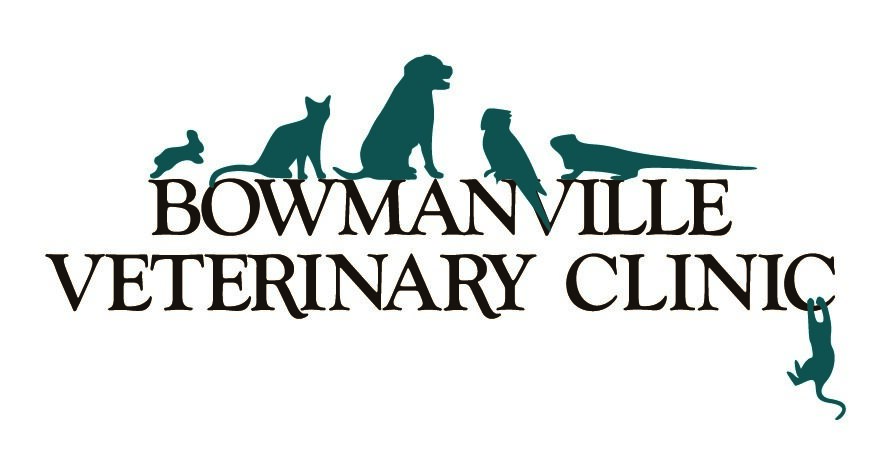 Bowmanville Veterinary Clinic