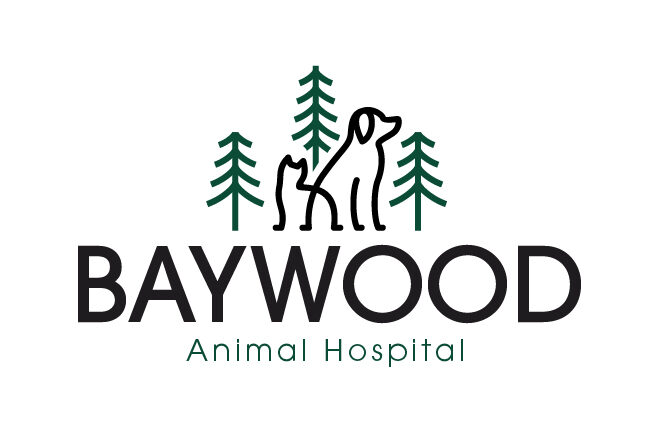 Baywood Animal Hospital